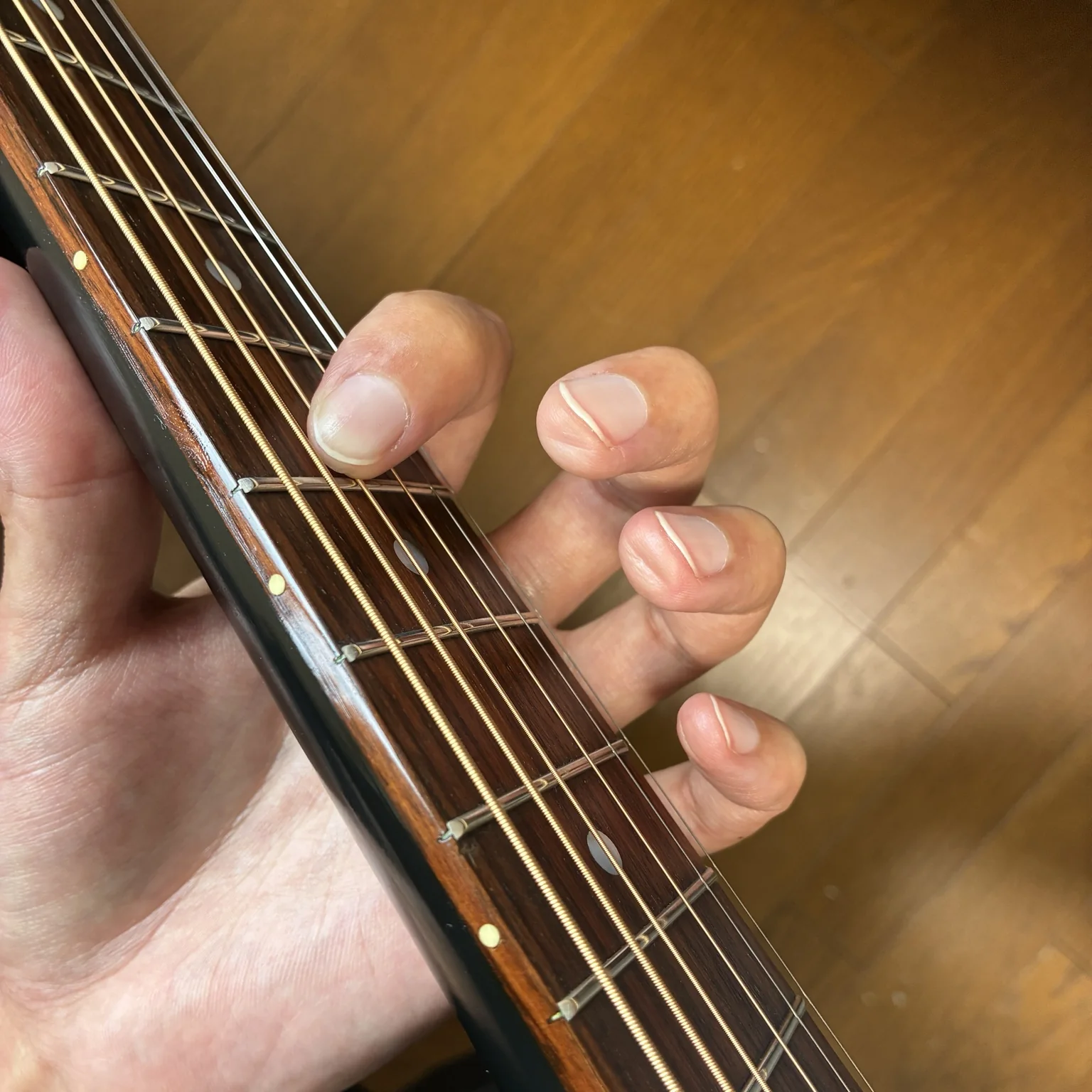 実際に演奏して全フレットを確認している様子